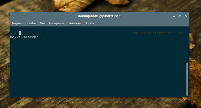 Aprenda a buscar comandos já executados de forma rápida em seu terminal (Linux e MacOS)